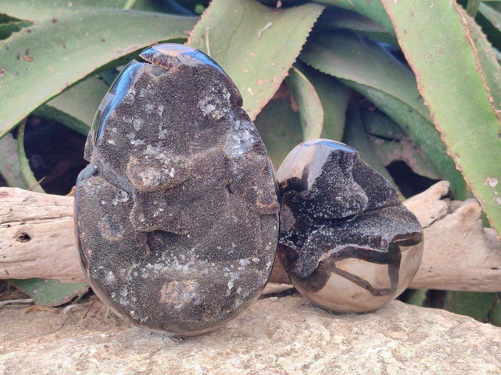Polished and Natural Septerye Sauvage "Dragons Egg" Geodes x 2 From Mahajanga, Madagascar - Toprock Gemstones and Minerals 