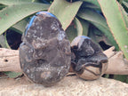 Polished and Natural Septerye Sauvage "Dragons Egg" Geodes x 2 From Mahajanga, Madagascar - Toprock Gemstones and Minerals 