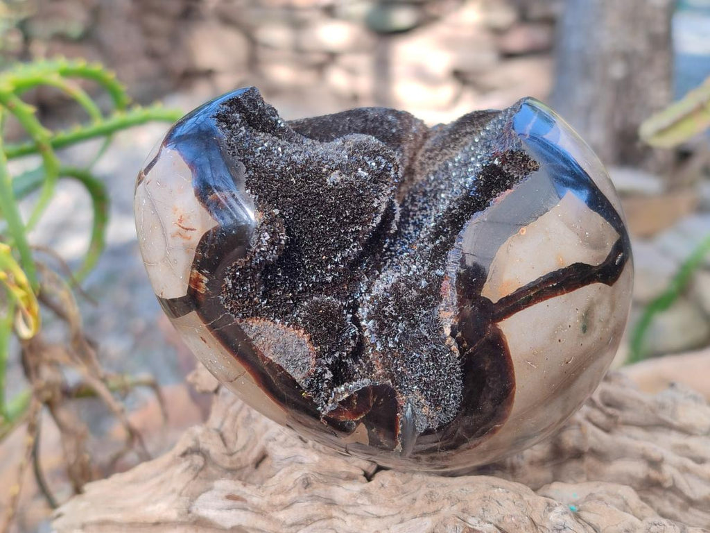Polished and Natural Septerye Sauvage "Dragons Egg" Geodes x 2 From Mahajanga, Madagascar - Toprock Gemstones and Minerals 