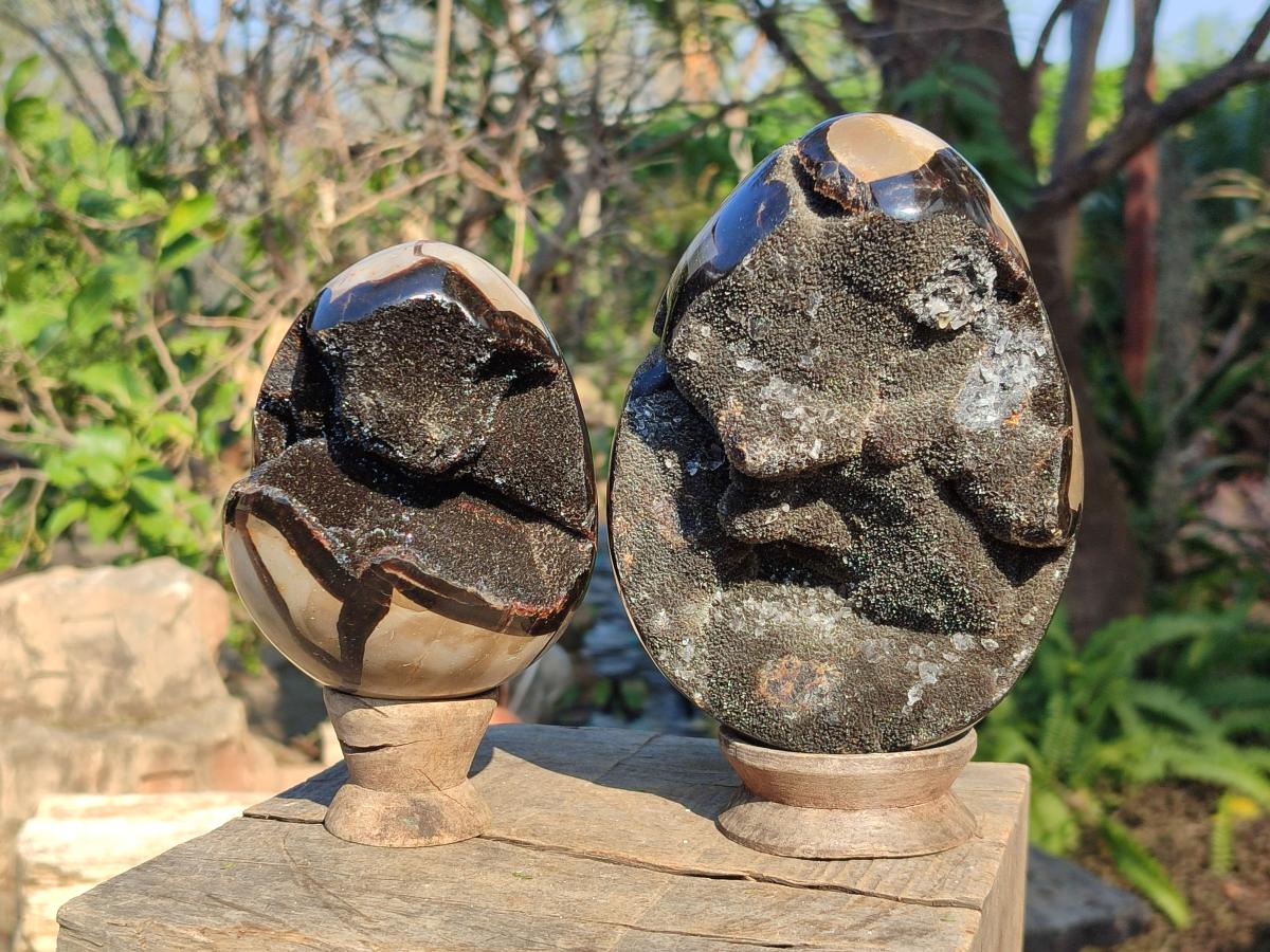Polished and Natural Septerye Sauvage "Dragons Egg" Geodes x 2 From Mahajanga, Madagascar - Toprock Gemstones and Minerals 
