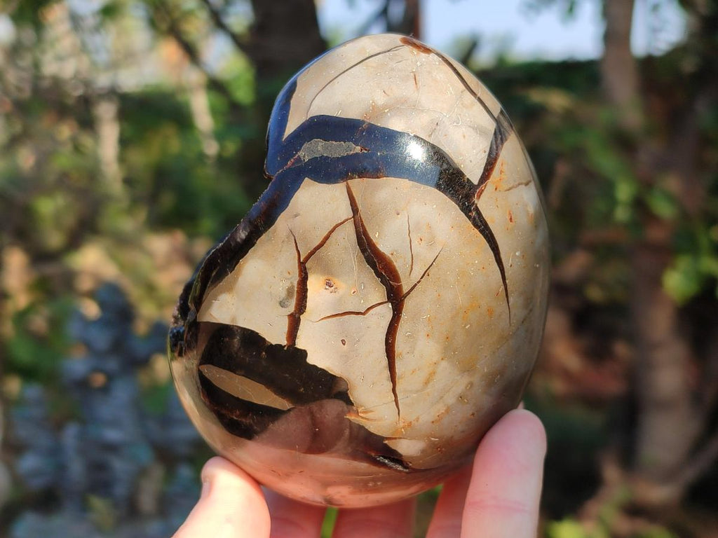 Polished and Natural Septerye Sauvage "Dragons Egg" Geodes x 2 From Mahajanga, Madagascar - Toprock Gemstones and Minerals 