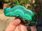 Polished Malacolla Free Forms x 3 From Kulukuluku, Congo - Toprock Gemstones and Minerals 