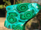 Polished Malacolla Free Forms x 3 From Kulukuluku, Congo - Toprock Gemstones and Minerals 