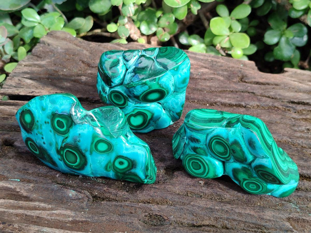 Polished Malacolla Free Forms x 3 From Kulukuluku, Congo - Toprock Gemstones and Minerals 
