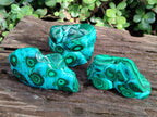 Polished Malacolla Free Forms x 3 From Kulukuluku, Congo - Toprock Gemstones and Minerals 