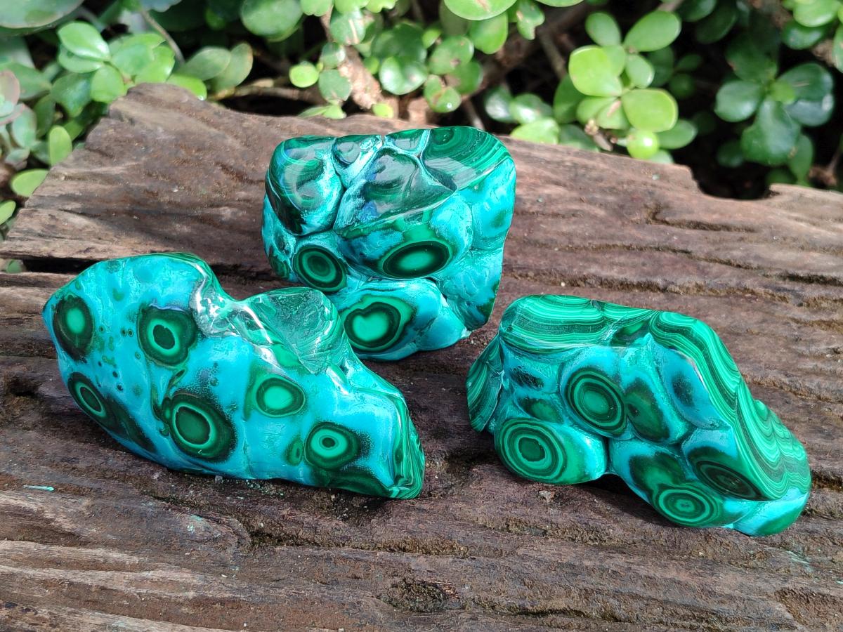 Polished Malacolla Free Forms x 3 From Kulukuluku, Congo - Toprock Gemstones and Minerals 