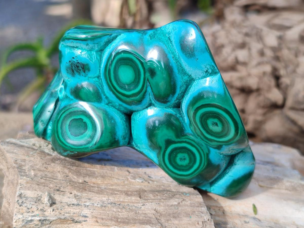 Polished Malacolla Free Forms x 3 From Kulukuluku, Congo - Toprock Gemstones and Minerals 