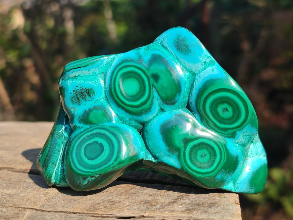 Polished Malacolla Free Forms x 3 From Kulukuluku, Congo - Toprock Gemstones and Minerals 