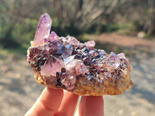 Hand Made Natural Chiredzi Amethyst Conglomerate Specimens x 6 From Chiredzi, Zimbabwe - Toprock Gemstones and Minerals 