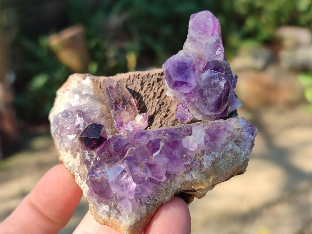 Hand Made Natural Chiredzi Amethyst Conglomerate Specimens x 6 From Chiredzi, Zimbabwe - Toprock Gemstones and Minerals 