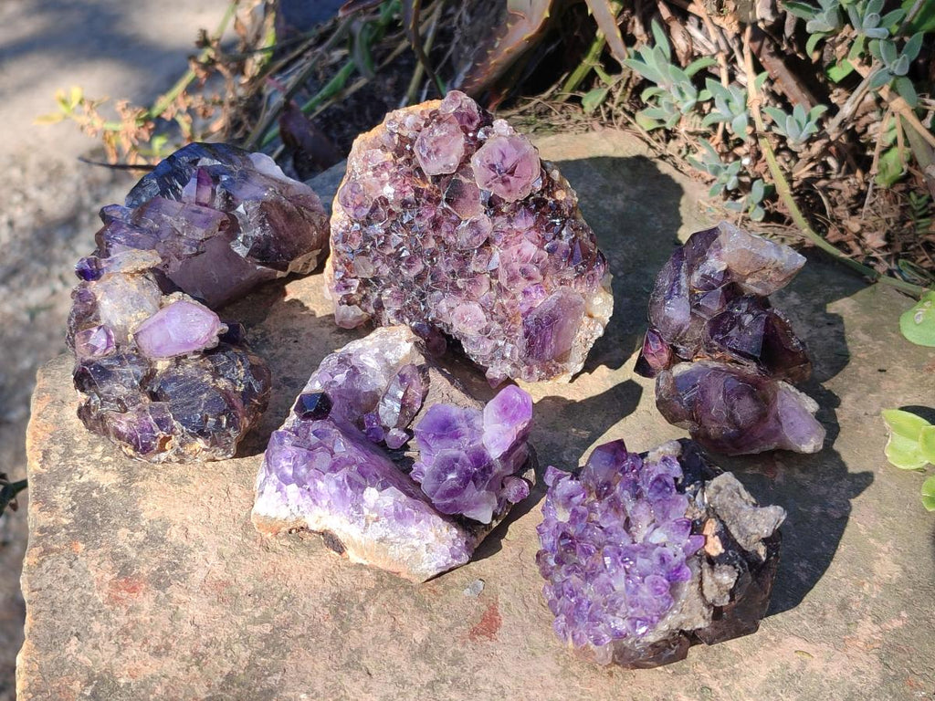 Hand Made Natural Chiredzi Amethyst Conglomerate Specimens x 6 From Chiredzi, Zimbabwe - Toprock Gemstones and Minerals 