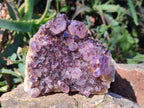 Hand Made Natural Chiredzi Amethyst Conglomerate Specimens x 6 From Chiredzi, Zimbabwe - Toprock Gemstones and Minerals 