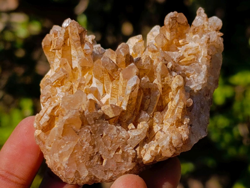 Natural Malagasy Quartz Clusters x 12 From Madagascar - Toprock Gemstones and Minerals 