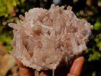 Natural Malagasy Quartz Clusters x 12 From Madagascar - Toprock Gemstones and Minerals 