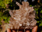 Natural Malagasy Quartz Clusters x 12 From Madagascar - Toprock Gemstones and Minerals 