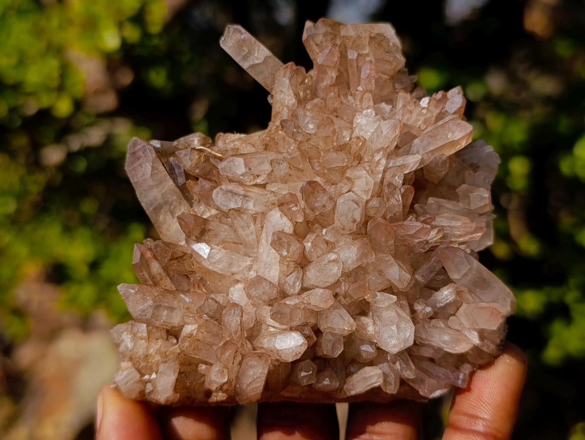 Natural Malagasy Quartz Clusters x 12 From Madagascar - Toprock Gemstones and Minerals 