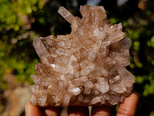 Natural Malagasy Quartz Clusters x 12 From Madagascar - Toprock Gemstones and Minerals 