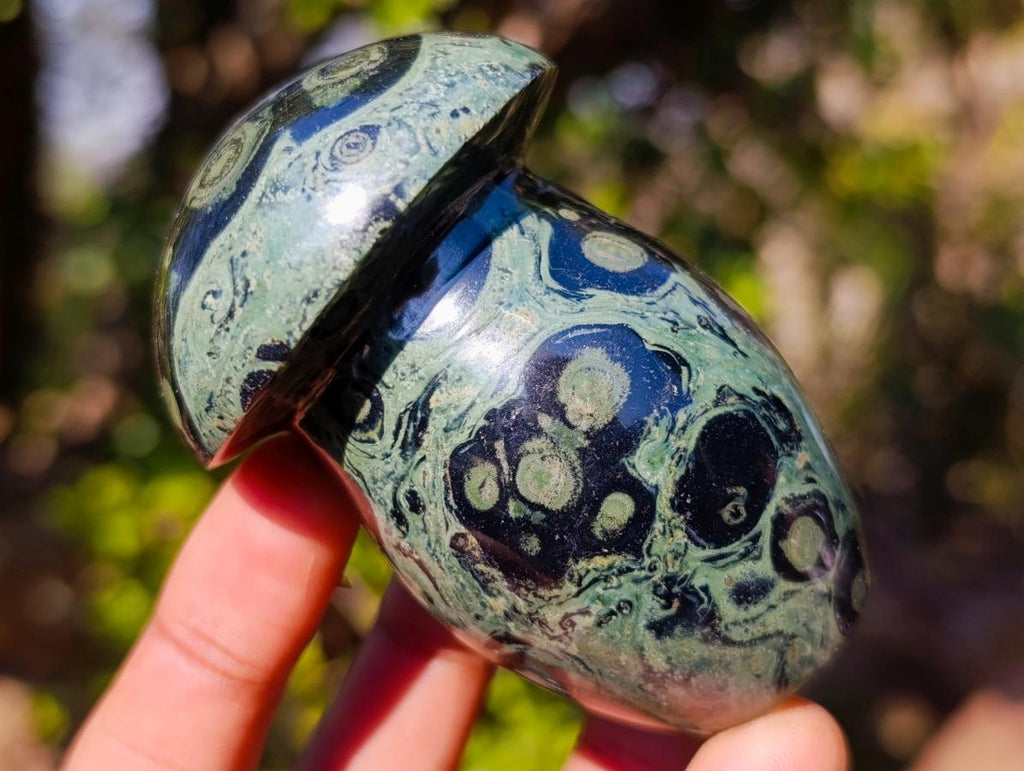 Polished Large Stromatolite "Kambamba Jasper" Mushrooms x 12 From Katsepy, Madagascar - Toprock Gemstones and Minerals 