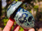 Polished Large Stromatolite "Kambamba Jasper" Mushrooms x 12 From Katsepy, Madagascar - Toprock Gemstones and Minerals 