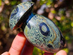 Polished Large Stromatolite "Kambamba Jasper" Mushrooms x 12 From Katsepy, Madagascar - Toprock Gemstones and Minerals 