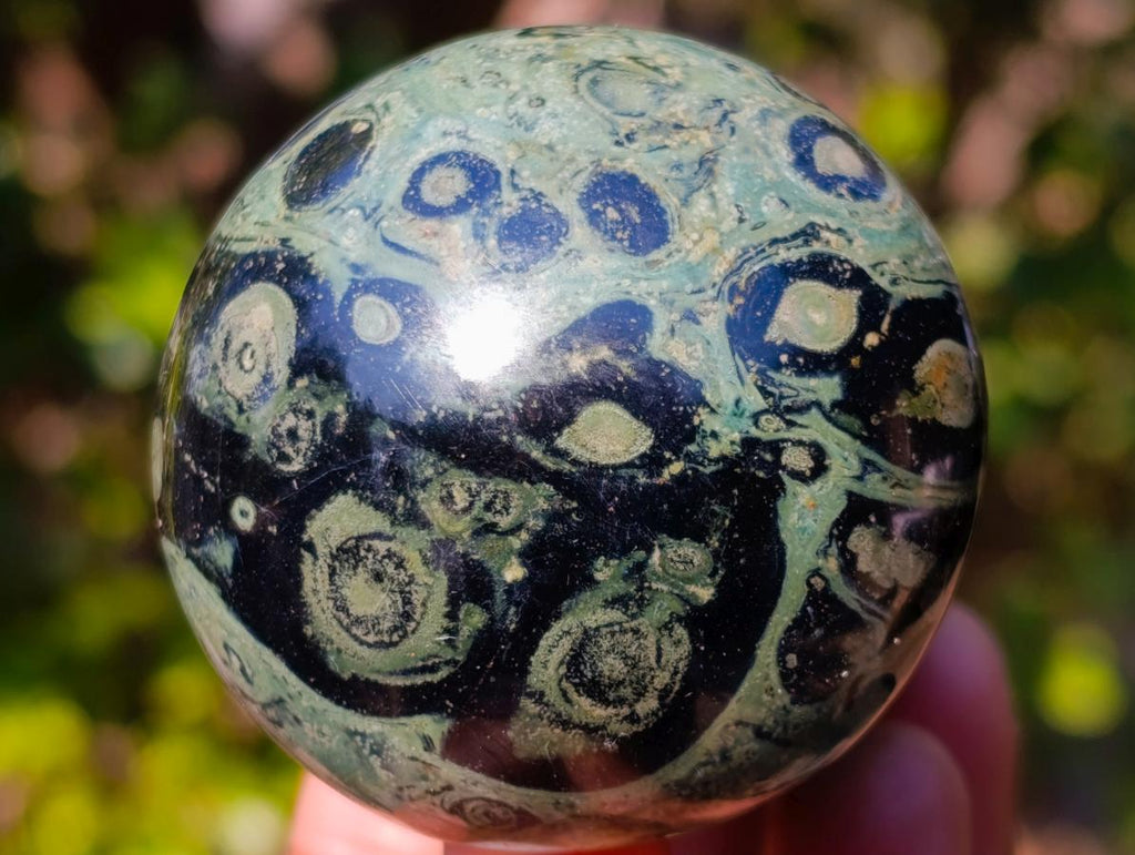 Polished Large Stromatolite "Kambamba Jasper" Mushrooms x 12 From Katsepy, Madagascar - Toprock Gemstones and Minerals 