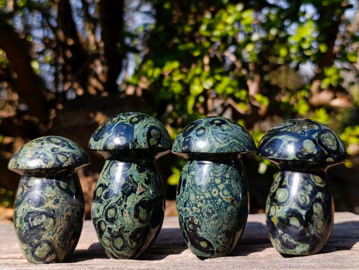 Polished Large Stromatolite "Kambamba Jasper" Mushrooms x 12 From Katsepy, Madagascar - Toprock Gemstones and Minerals 