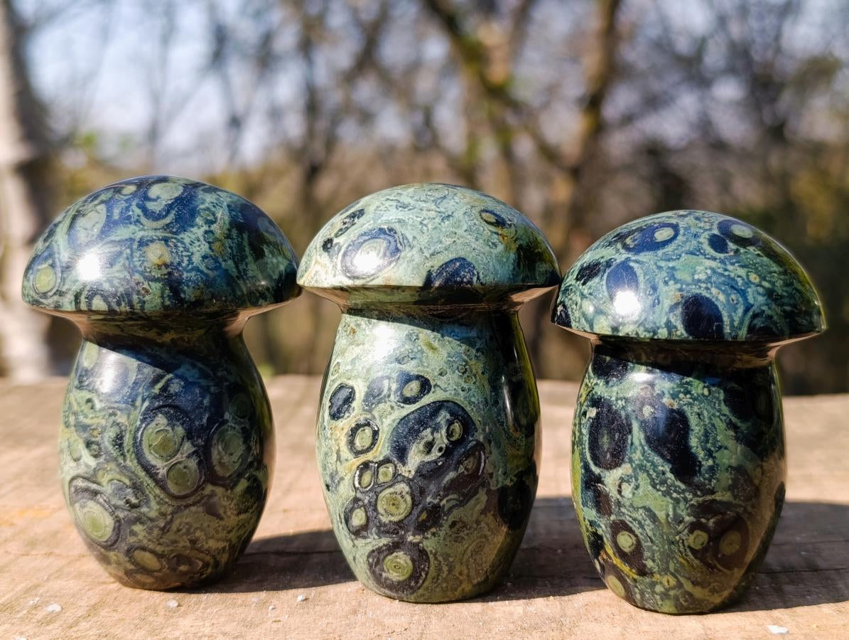 Polished Large Stromatolite "Kambamba Jasper" Mushrooms x 12 From Katsepy, Madagascar - Toprock Gemstones and Minerals 