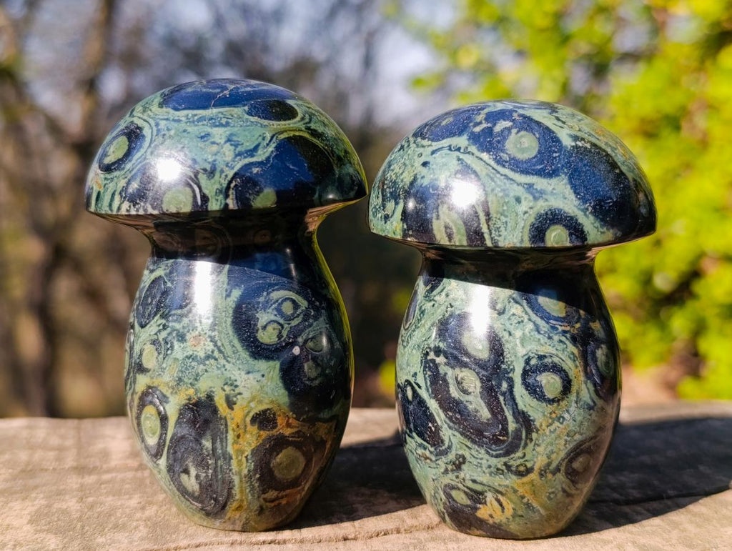 Polished Large Stromatolite "Kambamba Jasper" Mushrooms x 12 From Katsepy, Madagascar - Toprock Gemstones and Minerals 