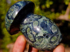 Polished Large Stromatolite "Kambamba Jasper" Mushrooms x 12 From Katsepy, Madagascar - Toprock Gemstones and Minerals 