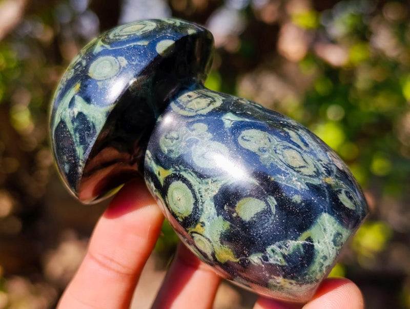 Polished Large Stromatolite "Kambamba Jasper" Mushrooms x 12 From Katsepy, Madagascar - Toprock Gemstones and Minerals 