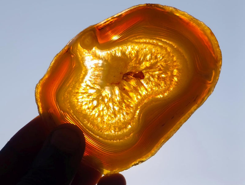Polished and Natural Banded Agate Slices with Natural Edging x 6 From Madagascar - Toprock Gemstones and Minerals 