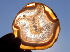 Polished and Natural Banded Agate Slices with Natural Edging x 6 From Madagascar - Toprock Gemstones and Minerals 