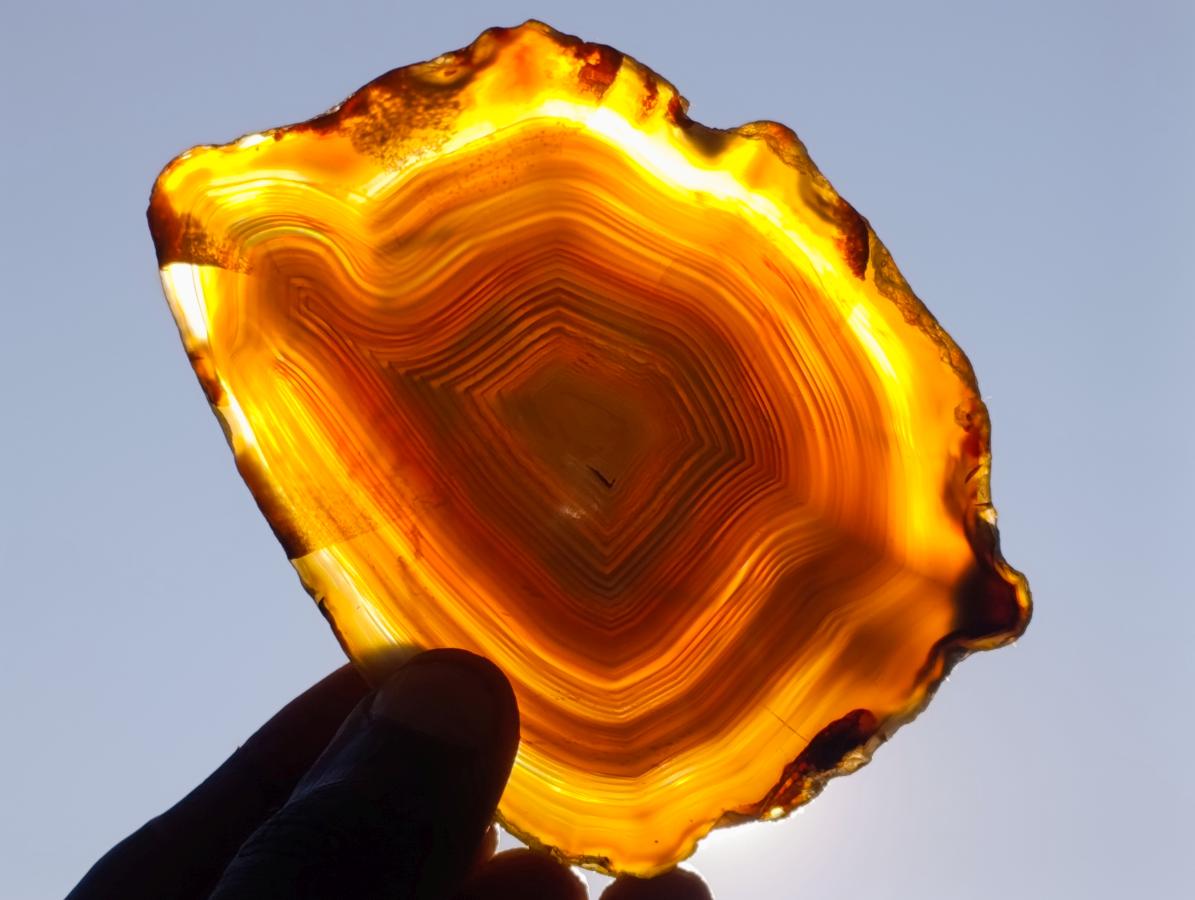 Polished and Natural Banded Agate Slices with Natural Edging x 6 From Madagascar - Toprock Gemstones and Minerals 