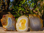 Polished and Natural Banded Agate Slices with Natural Edging x 6 From Madagascar - Toprock Gemstones and Minerals 
