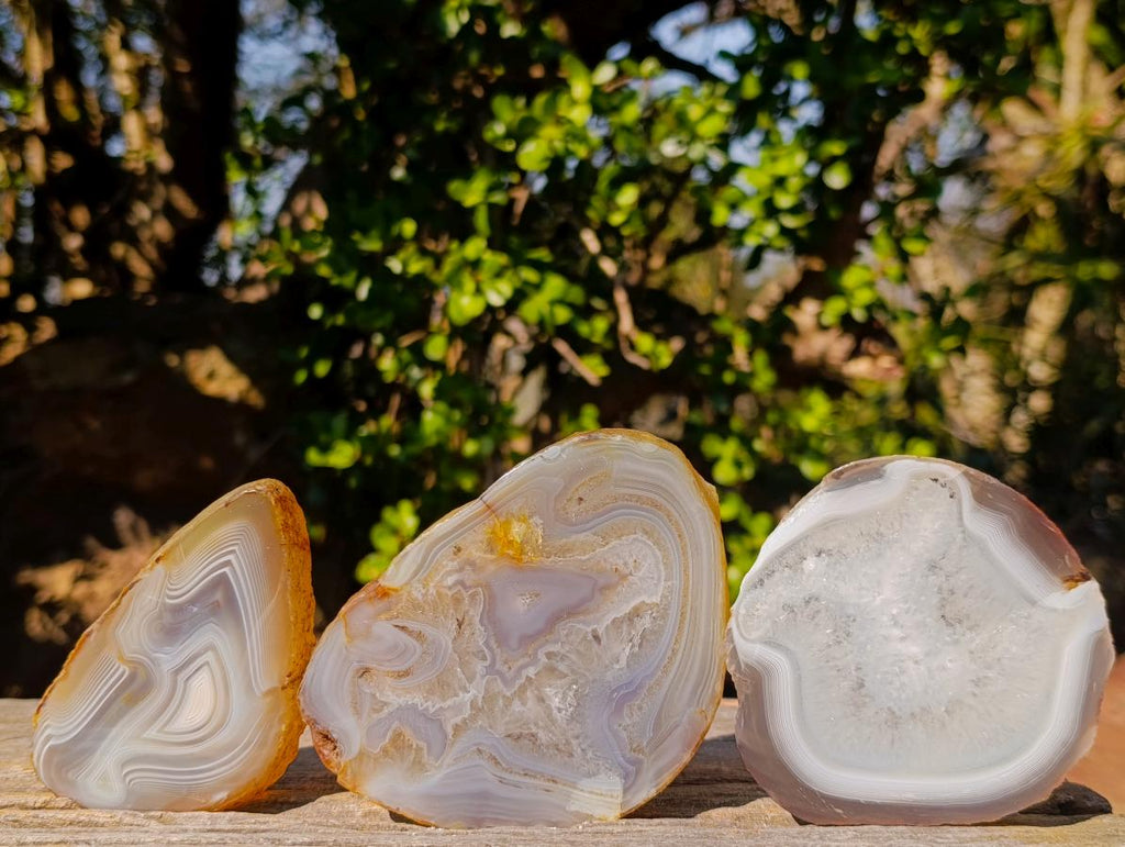 Polished and Natural Banded Agate Slices with Natural Edging x 6 From Madagascar - Toprock Gemstones and Minerals 