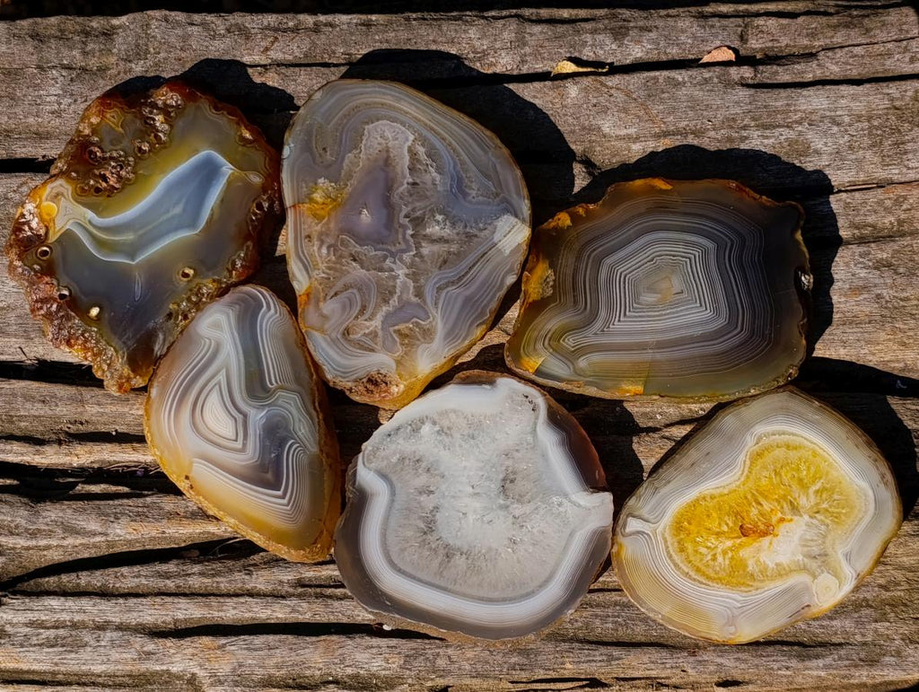 Polished and Natural Banded Agate Slices with Natural Edging x 6 From Madagascar - Toprock Gemstones and Minerals 