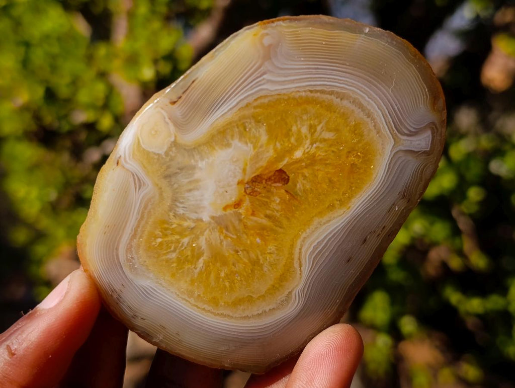 Polished and Natural Banded Agate Slices with Natural Edging x 6 From Madagascar - Toprock Gemstones and Minerals 
