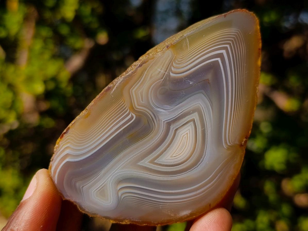 Polished and Natural Banded Agate Slices with Natural Edging x 6 From Madagascar - Toprock Gemstones and Minerals 