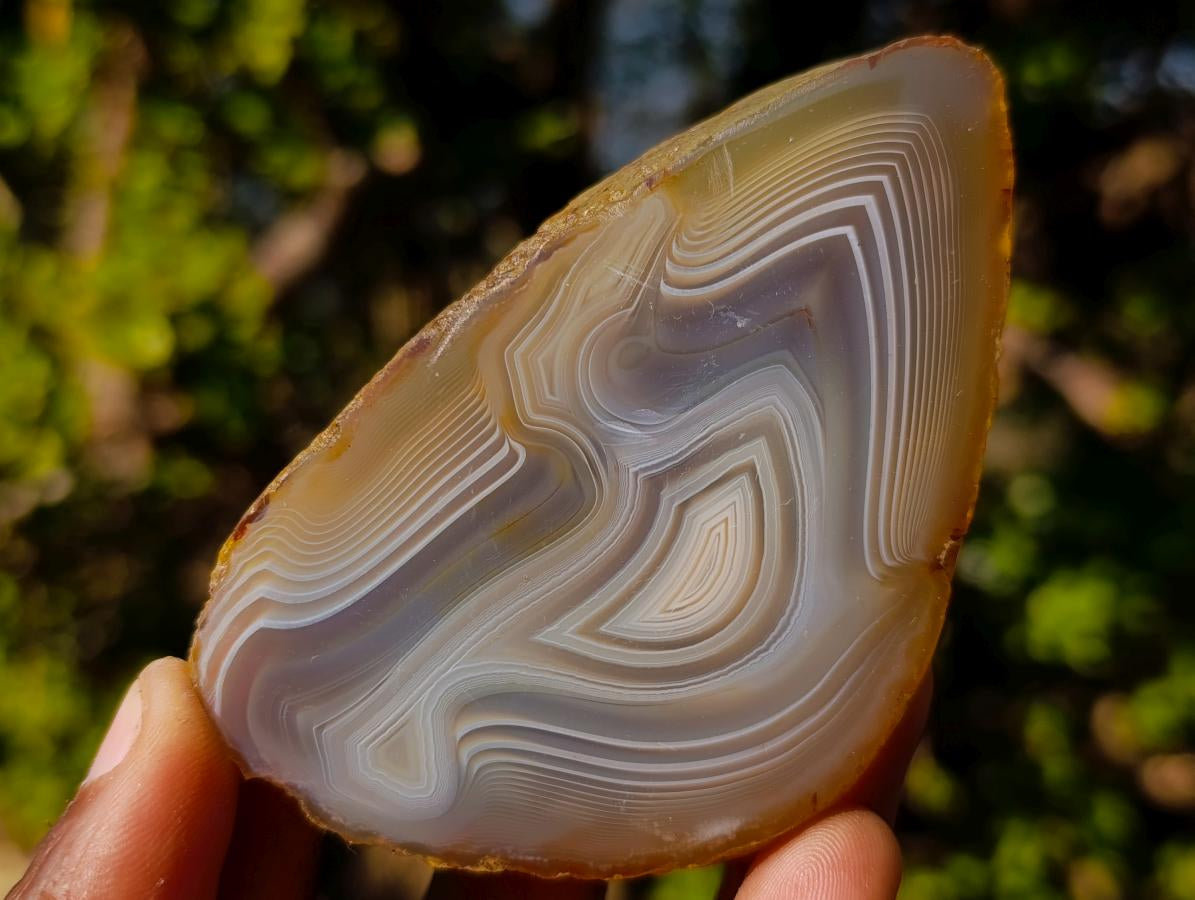 Polished and Natural Banded Agate Slices with Natural Edging x 6 From Madagascar - Toprock Gemstones and Minerals 