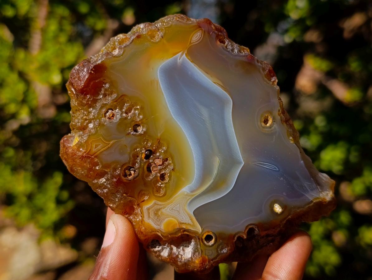 Polished and Natural Banded Agate Slices with Natural Edging x 6 From Madagascar - Toprock Gemstones and Minerals 