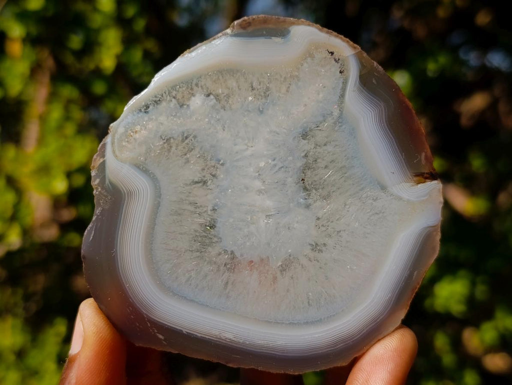 Polished and Natural Banded Agate Slices with Natural Edging x 6 From Madagascar - Toprock Gemstones and Minerals 