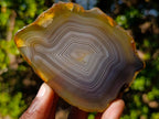 Polished and Natural Banded Agate Slices with Natural Edging x 6 From Madagascar - Toprock Gemstones and Minerals 