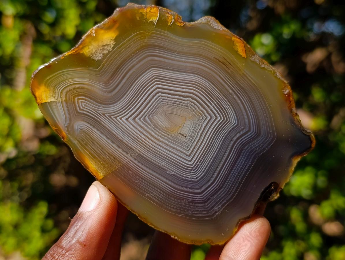 Polished and Natural Banded Agate Slices with Natural Edging x 6 From Madagascar - Toprock Gemstones and Minerals 
