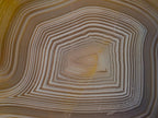 Polished and Natural Banded Agate Slices with Natural Edging x 6 From Madagascar - Toprock Gemstones and Minerals 