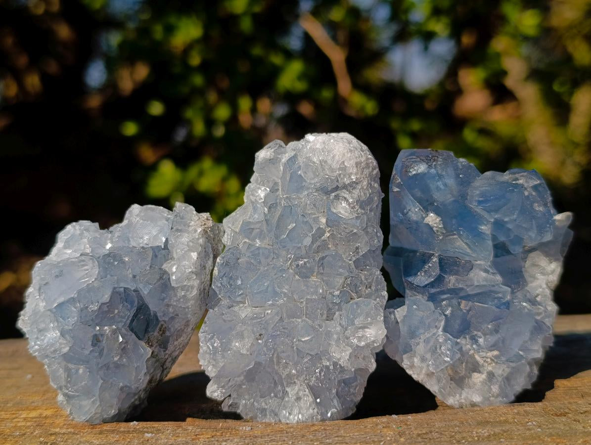 Natural Blue Celestite Specimens x 46 From Sakoany, Madagascar - Toprock Gemstones and Minerals 