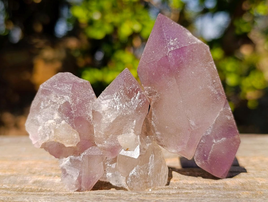 Natural Amethyst Crystals x 18 From Madagascar - Toprock Gemstones and Minerals 