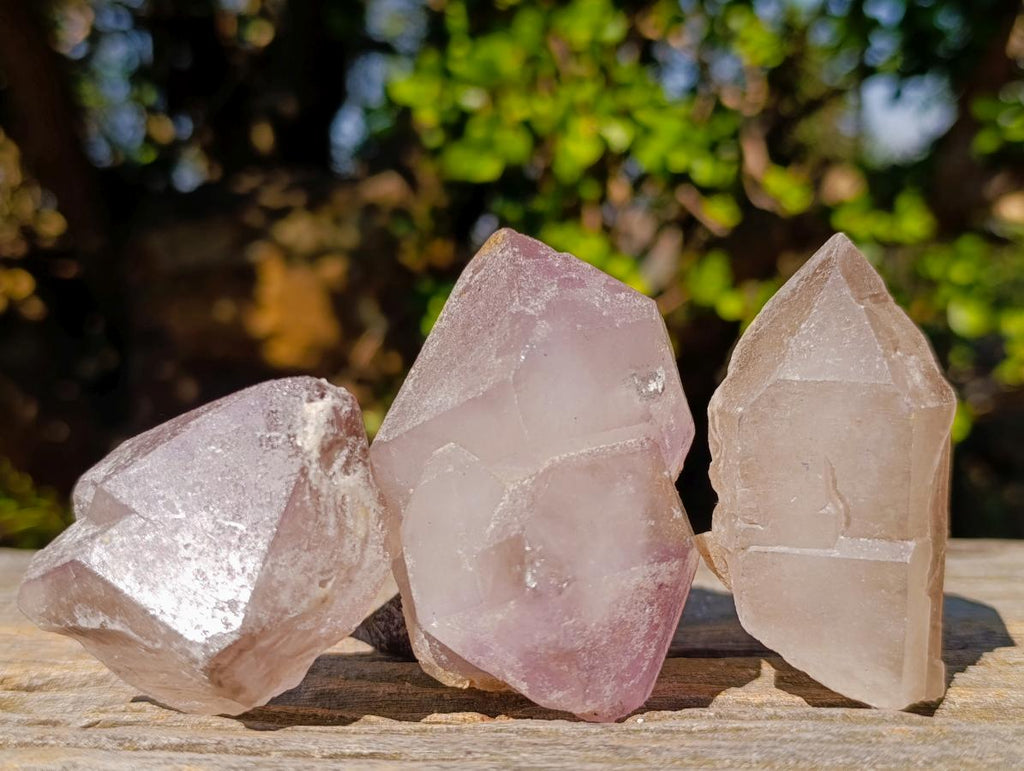 Natural Amethyst Crystals x 18 From Madagascar - Toprock Gemstones and Minerals 