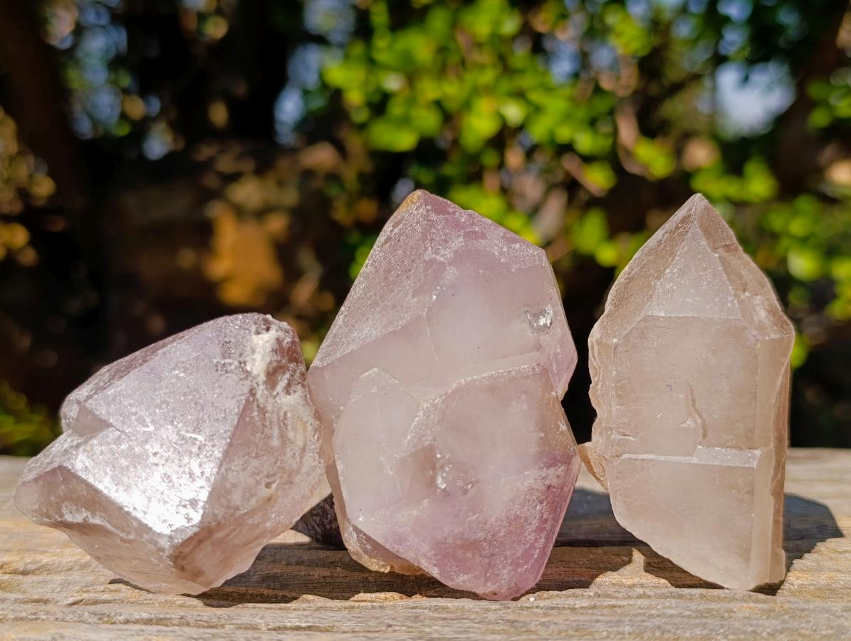 Natural Amethyst Crystals x 18 From Madagascar - Toprock Gemstones and Minerals 