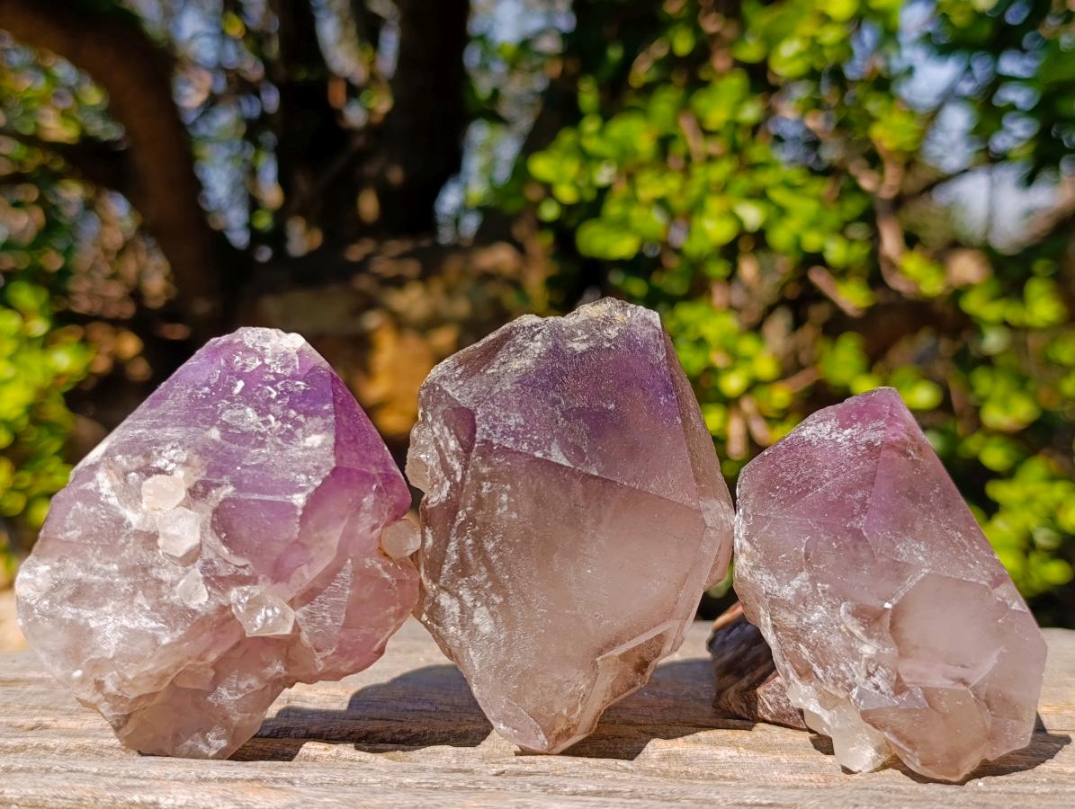 Natural Amethyst Crystals x 18 From Madagascar - Toprock Gemstones and Minerals 