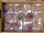 Natural Amethyst Crystals x 18 From Madagascar - Toprock Gemstones and Minerals 